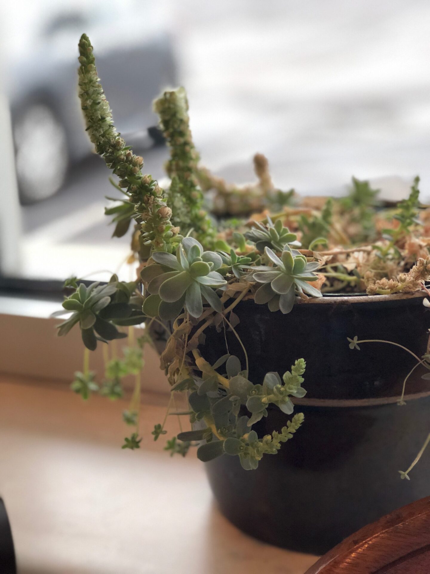 Picture of treatment for the cranial bones